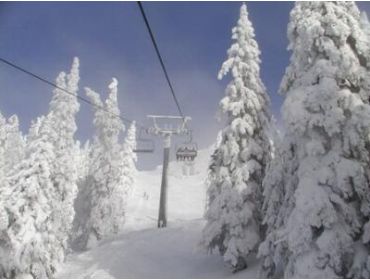 Skidorf: Präbichl-1