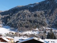 Ferienwohnung Kaprun Glacier Estate mit Sauna-17