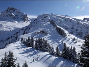 Skidorf Ruhiges, charmantes Skidorf für Wintersportler aller Niveuas-5