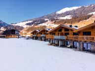 Ferienhaus Pinzgau Lodge 2E-15