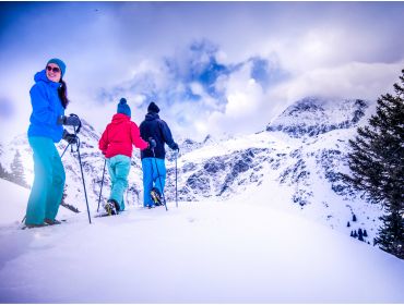 Skidorf Moderner Skiort mit Kurangeboten und kulturellem Angebot-7