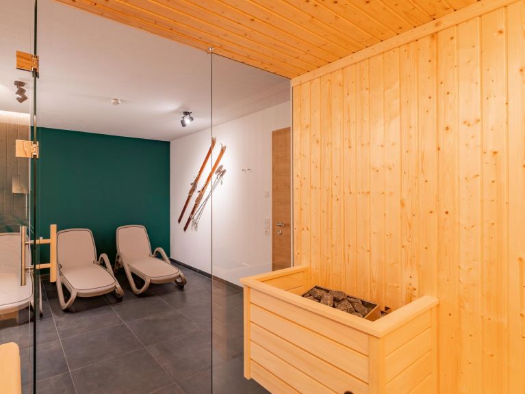 Ferienhaus Pinzgau Lodge 1C