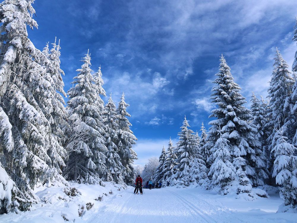 Blog: Skifahren in Zell Am See 2025-2