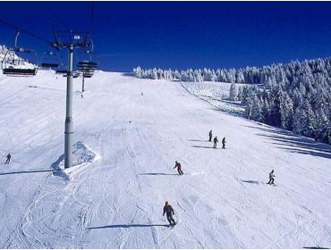 Skidorf Authentisches, französisches Skidorf nahe der Grenze mit der Schweiz-4