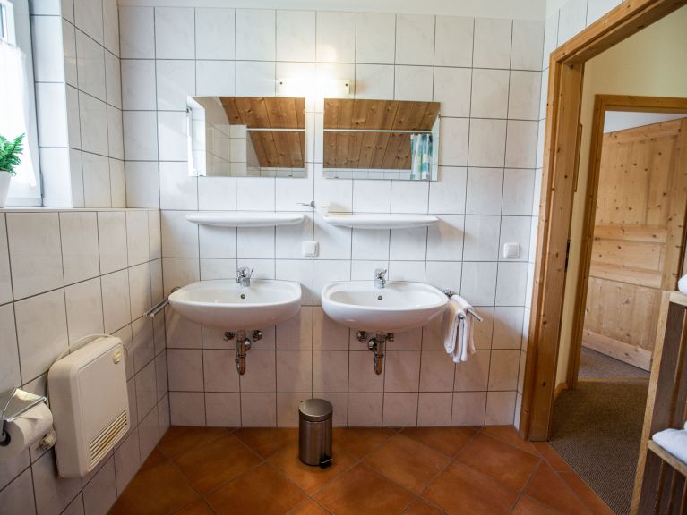 Ferienhaus Alpendorf Dachstein-West Gamsblume