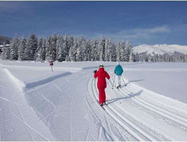 Skidorf Kleines kinderfreundliches Skidorf im Zillertal-11