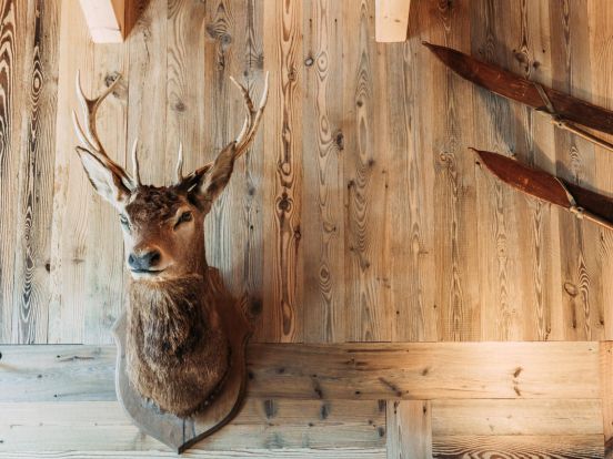 Ferienwohnung Iris-12