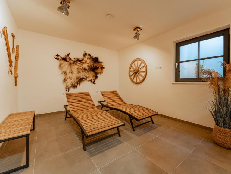 Ferienhaus Pinzgau Lodge 2D