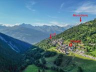 Ferienhaus Perle des Alpes-14
