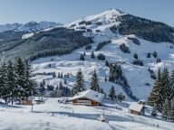 Ferienhaus Buchegg Alm-20