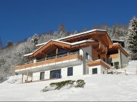 Ferienwohnung Alpenchalet am Wildkogel Gesamtes Ferienhaus mit Wellnessbereich-8