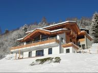 Ferienwohnung Alpenchalet am Wildkogel Smaragd mit Wellnessbereich-8