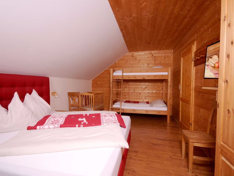 Ferienhaus Almchalet am Katschberg Almchalet