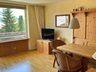 Ferienwohnung Hoss Top 14-7