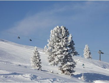 Skidorf Kleines kinderfreundliches Skidorf im Zillertal-8