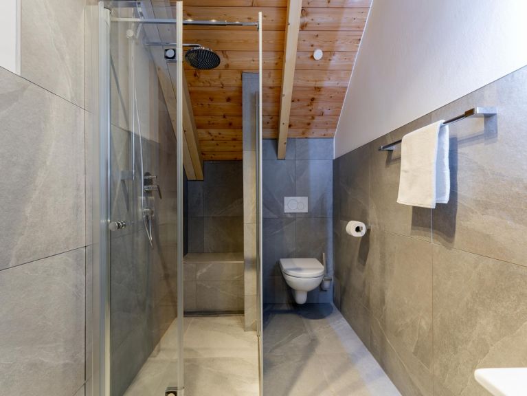 Ferienhaus Mountain Chalet Bergfreund