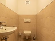 Ferienwohnung Tevini Schmittenblick-13