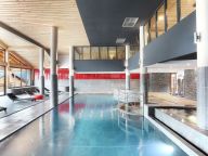 Ferienwohnung Les Fermes de Châtel Mit Kabine-19