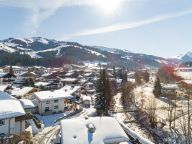 Ferienwohnung Gaisbergblick-19