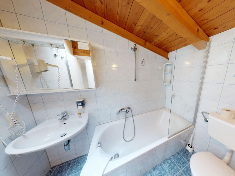 Ferienhaus Edelweiss am See Kombination, 6 Fewos. inklusive Gemeinschaftsküche/Esszimmer