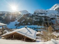 Ferienwohnung Eagle Lodge mit Whirlpool-18