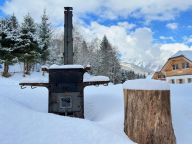 Ferienhaus Riesneralm Bente-18