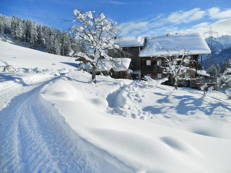 Ferienhaus Moosen
