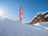 Ferienwohnung Les Chalets du Forum Mit Kabine und 3 Badezimmern-22