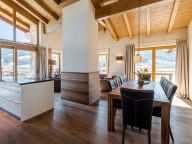 Ferienwohnung Wildkogelresorts Penthouse Typ IIIb-25