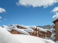 Ferienwohnung Les Chalets du Forum Mit Kabine und 3 Badezimmern-24