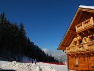 Ferienhaus Almwelt Austria Jagahüttl-17