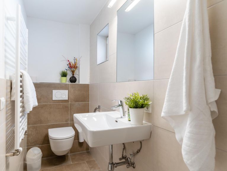 Ferienwohnung Alpensteinbock Typ A
