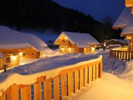 Ferienhaus Almwelt Austria Jagahüttl-14