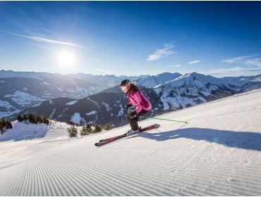 Skidorf Gut erreichbares Skidorf mit geselligem Après-Ski-4