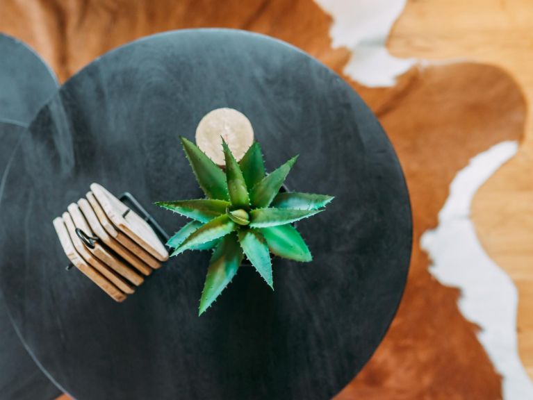 Ferienhaus Riesneralm Im grünen Herzen