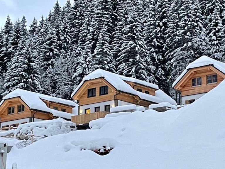 Ferienhaus Riesneralm Hirschblick