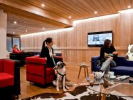 Ferienwohnung Les Fermes de Châtel Mit Kabine-18