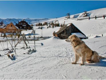 Skidorf Kleines, geselliges Dorf in der Nähe eines übersichtlichen Skigebiets-2