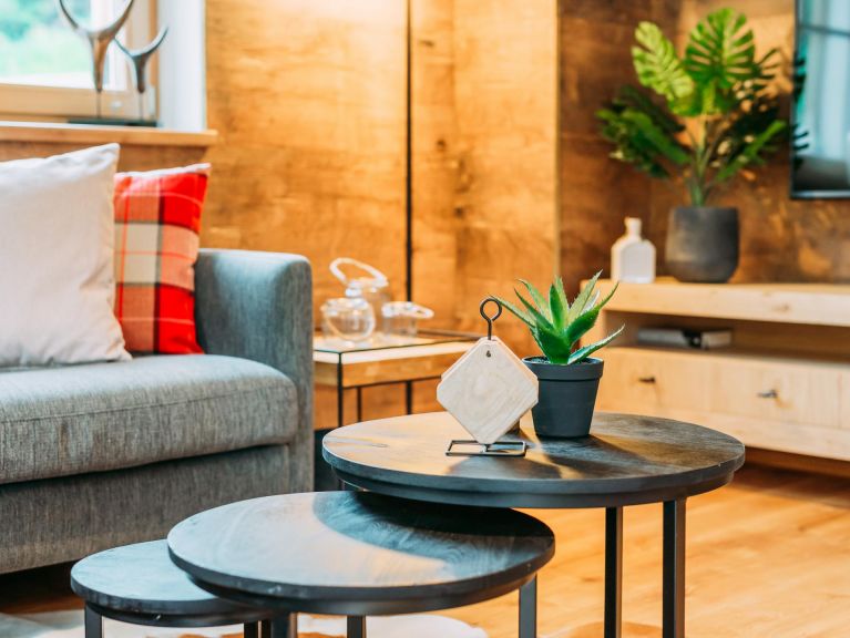 Ferienhaus Riesneralm Im grünen Herzen