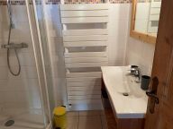 Ferienwohnung Fleur des Alpes Arnica-9