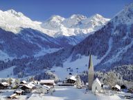 Ferienwohnung Kleinwalsertal Bergnarzisse-28