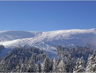 Skidorf Kleines, geselliges Dorf in der Nähe eines übersichtlichen Skigebiets-4