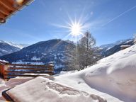 Ferienhaus Mountain Star-16