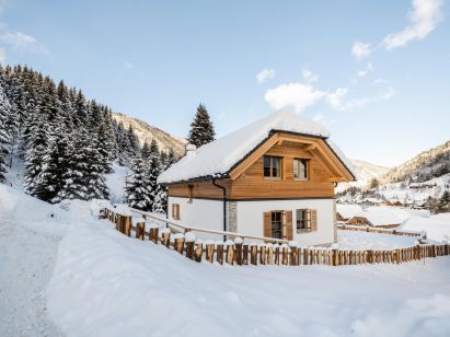 Ferienhaus Riesneralm Bergzauber-1