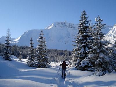 Skidorf Freundliches Skidorf mit einem großen Angebot-1