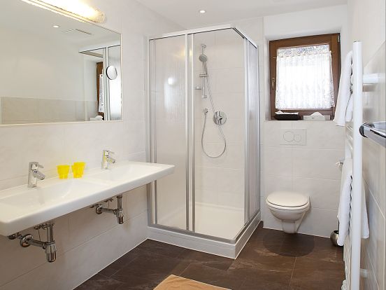 Ferienwohnung Alpin-11