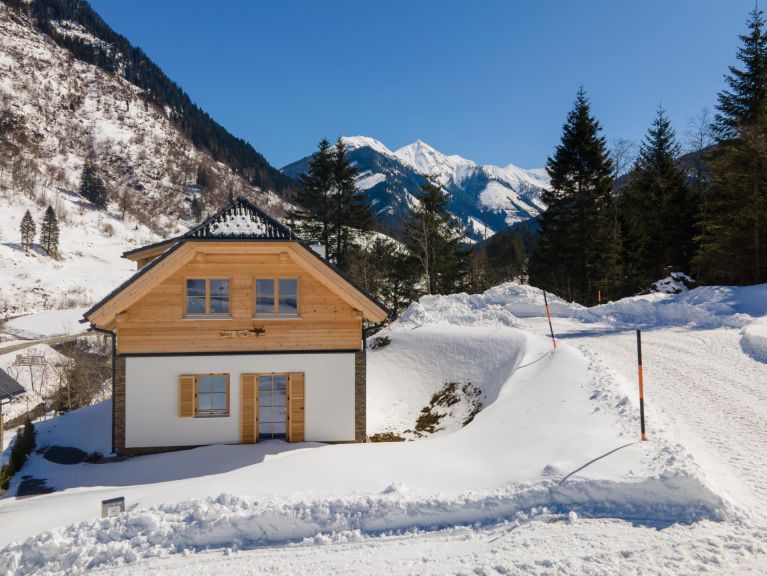 Ferienhaus Riesneralm Karibu