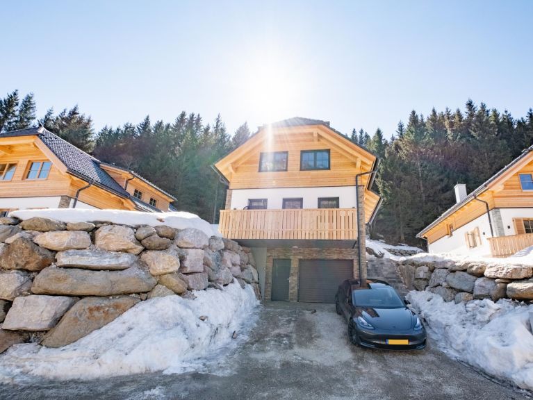 Ferienhaus Riesneralm Hirschblick