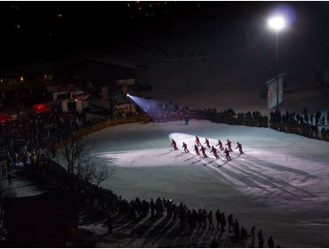 Skidorf Gemütliches und kinderfreundliches Skidorf-4