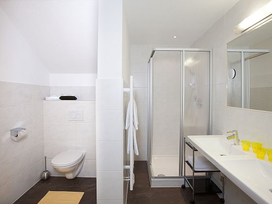 Ferienwohnung Alpin-10